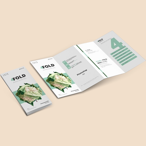 Brochure icon