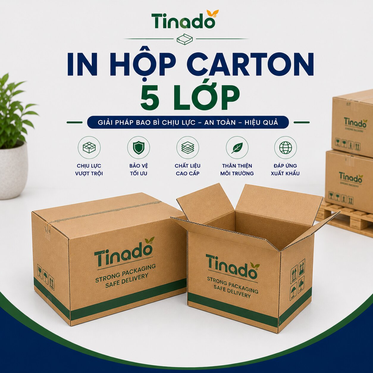 In Hộp Carton 5 Lớp