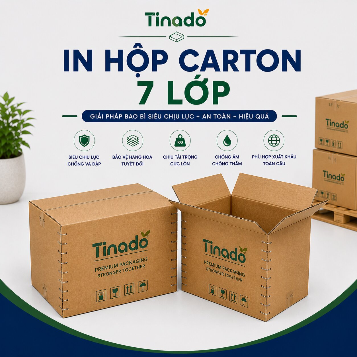 In Hộp Carton 7 Lớp