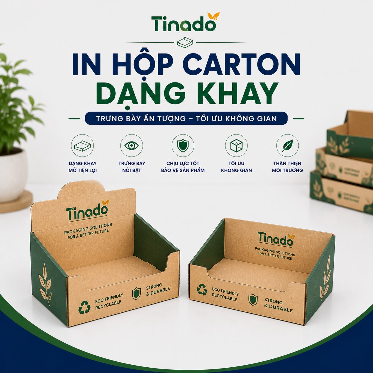In Hộp Carton Dạng Khay
