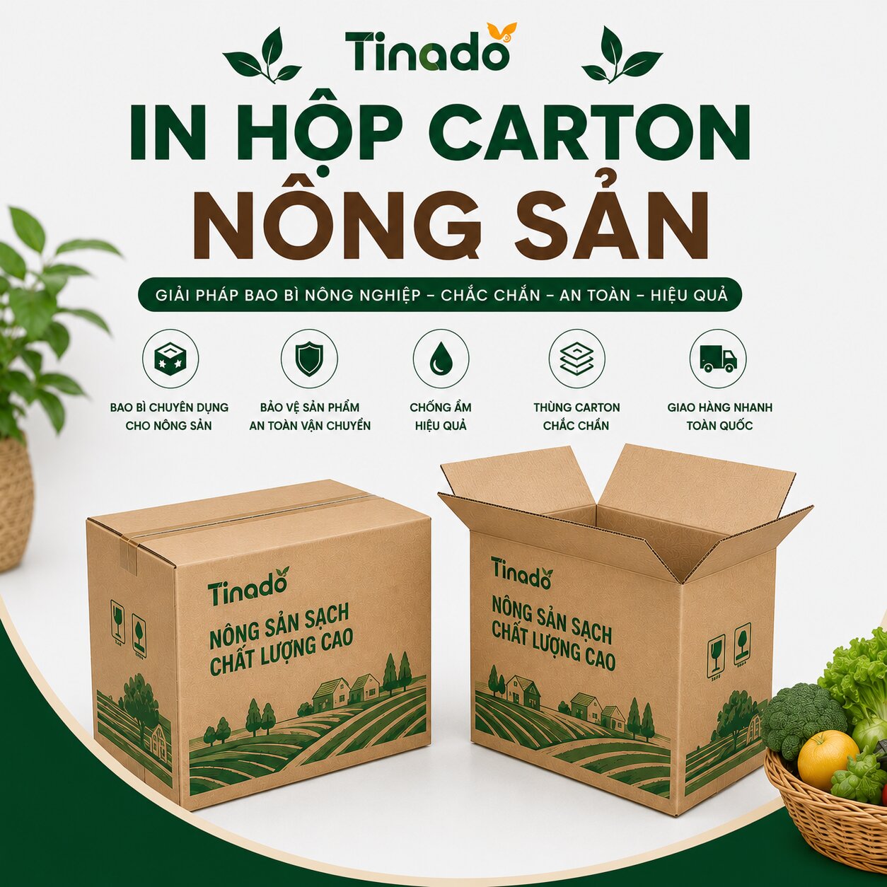 In Hộp Carton Nông Sản