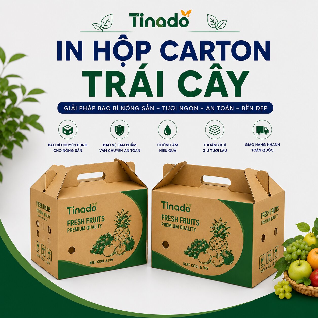 In Hộp Carton Trái Cây