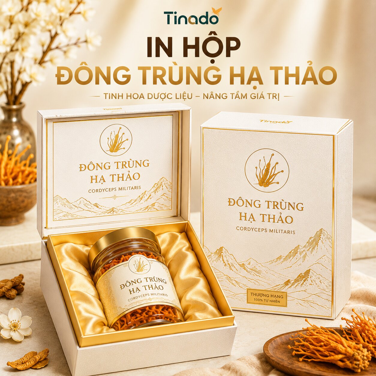 In Hộp Đông Trùng Hạ Thảo