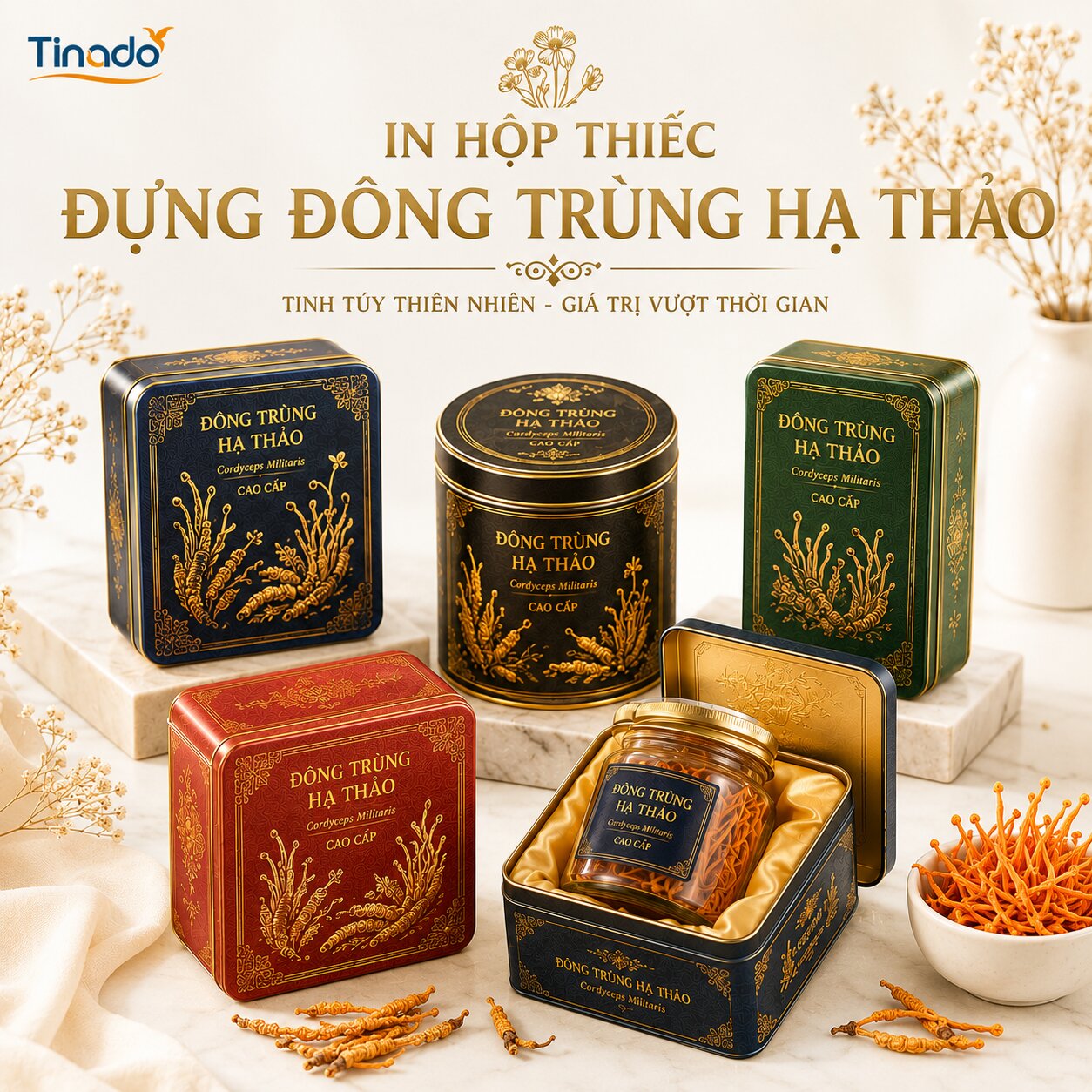 In Hộp Thiếc Đựng Đông Trùng Hạ Thảo