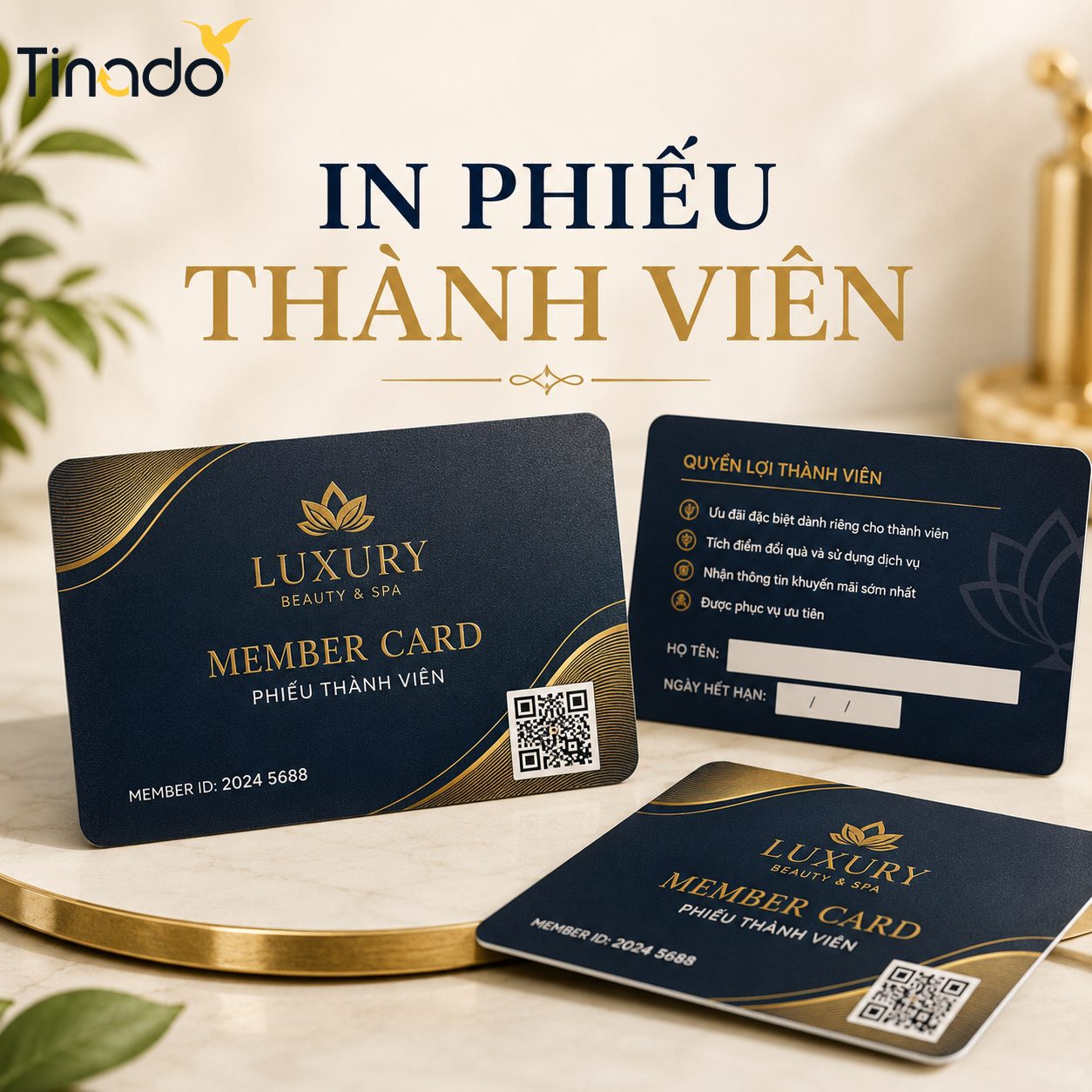 In Phiếu Thành Viên