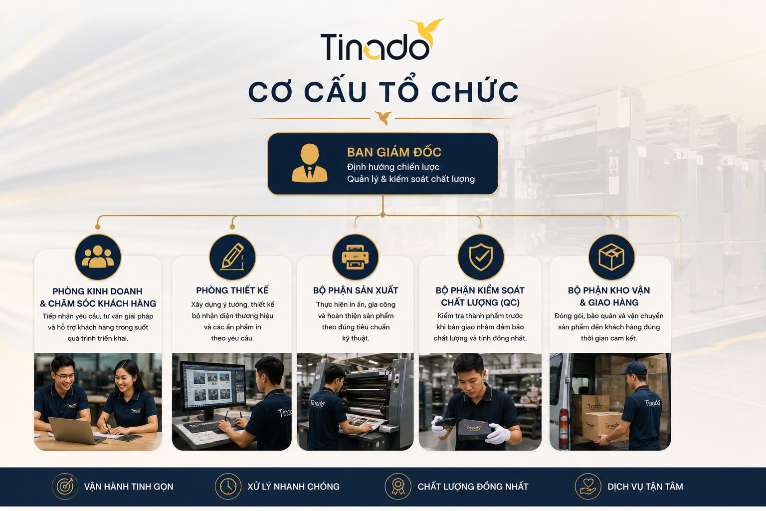 Cơ cấu tổ chức và vận hành tại Tinado