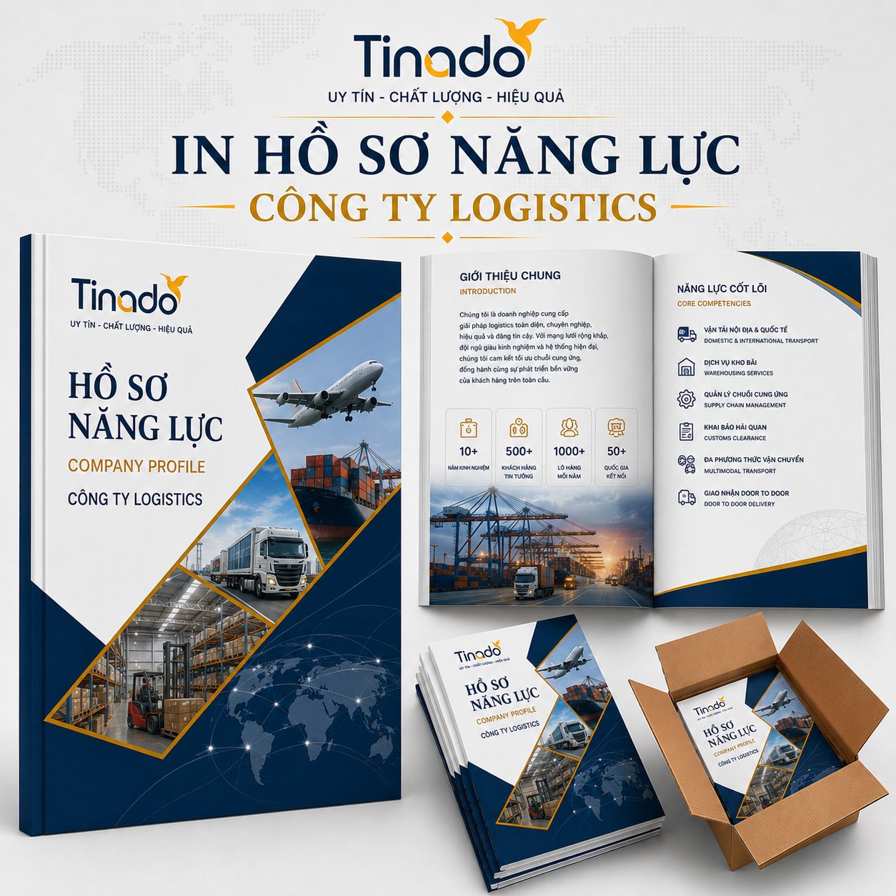 In Hồ Sơ Năng Lực Công Ty Logistics