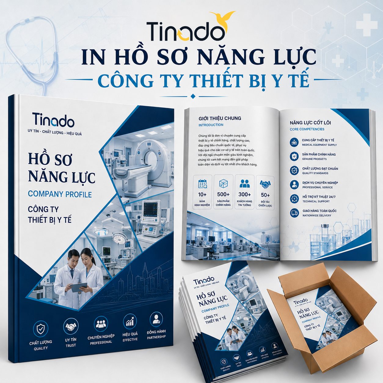 In Hồ Sơ Năng Lực Công Ty Dược