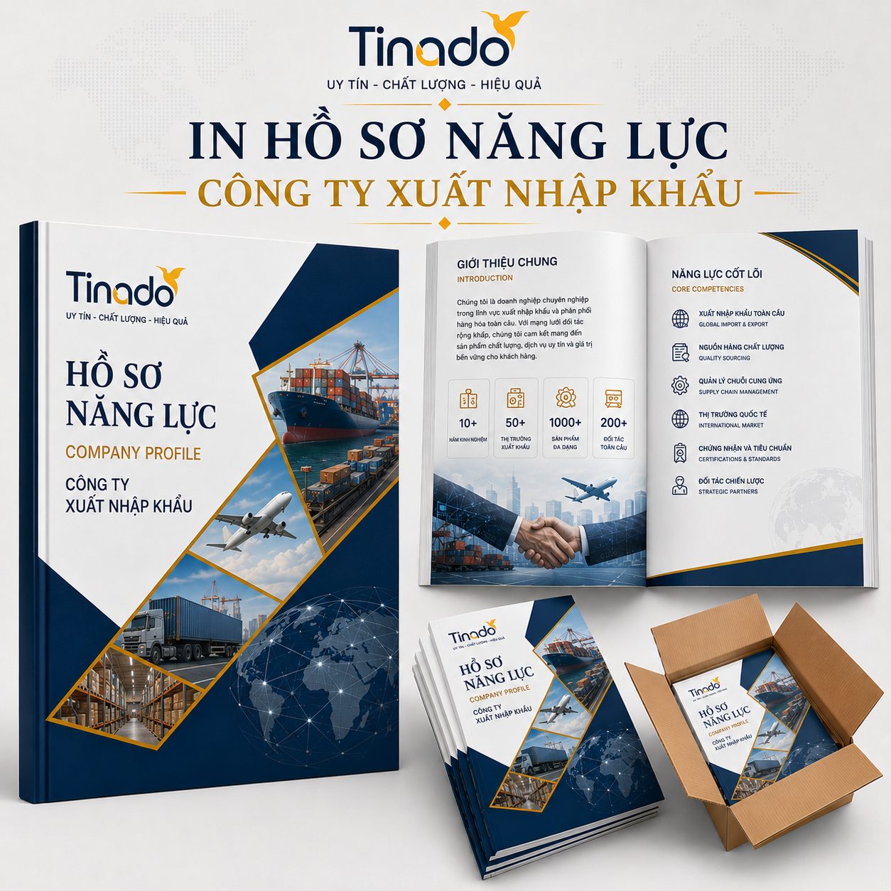 In Hồ Sơ Năng Lực Công Ty Xuất Nhập Khẩu