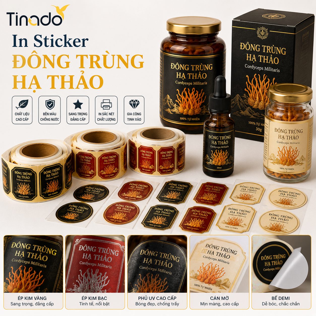 In Sticker Đông Trùng Hạ Thảo